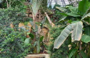 le gîte le CAMÉLIA - Foto 24