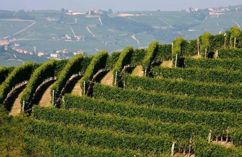 Agriturismo Cascina Rabalot - Foto 10