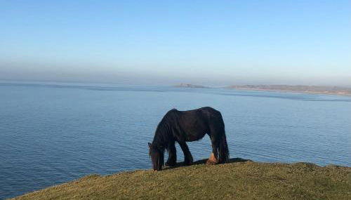 Cockleshell Chalet - Photo 2