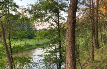 Przytulny domek w lesie blisko rzeki - Foto 22