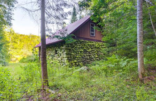 10 Mi to Gore Mountain! Pet-Friendly Cabin - Foto 23