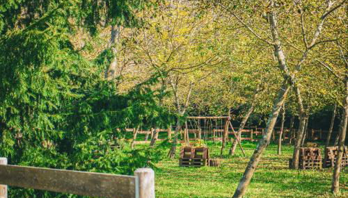 Lunigiana Experience - Foto 5