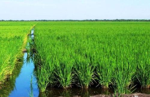 Allotjament turistic Casa Serral-Ocampo - Foto 41