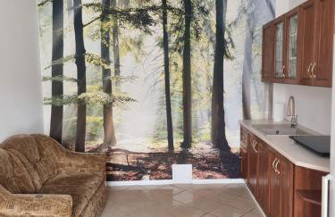 Apartament Kosynka - Foto 8