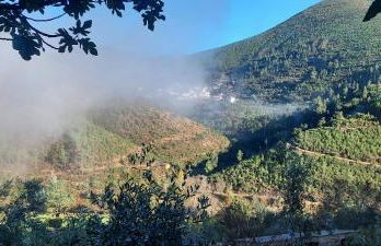 Casa da Mata de Fajão - Foto 15