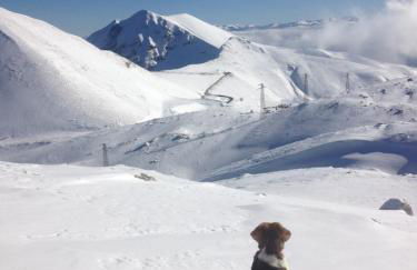 la bottega del fabbro affitto breve - Foto 29