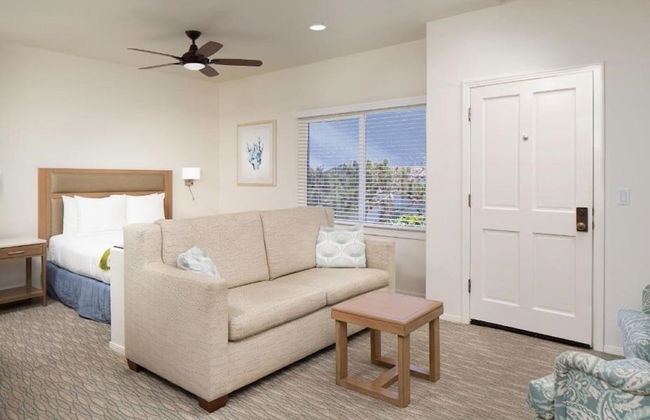 Wave Crest at Del Mar - Photo 11