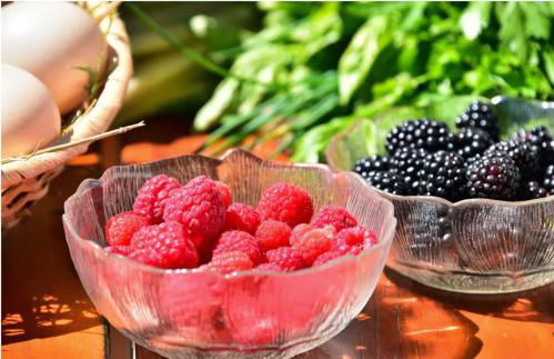 Stierlhof Ritten - Photo 4