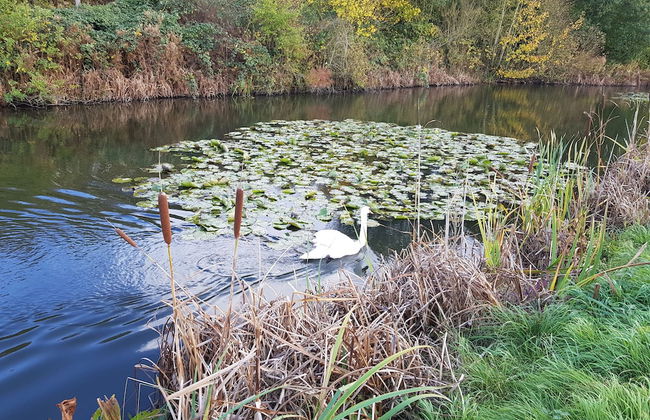 Chatterley House - Foto 49