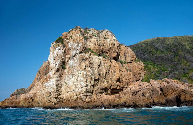 Avvistamento di delfini a Knysna - Foto 8