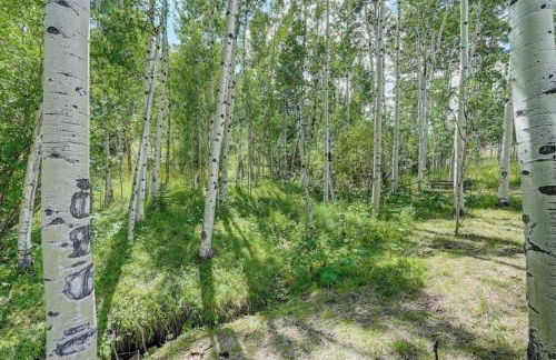 House of The Rising Sun - Foto 10