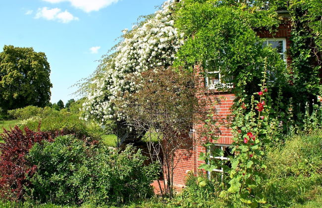 Wohnung in Semlow mit Garten und Terrasse - Foto 25