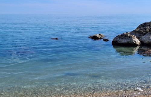 Verde Marche - Foto 37