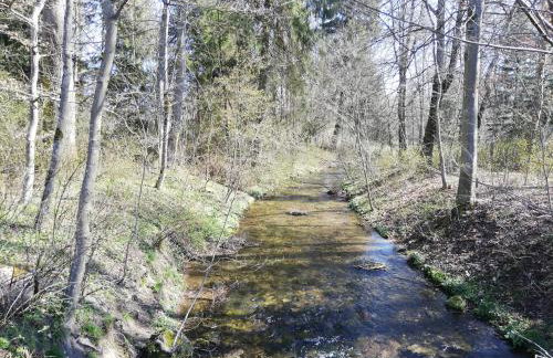 Ferienwohnung Lemke - Foto 32