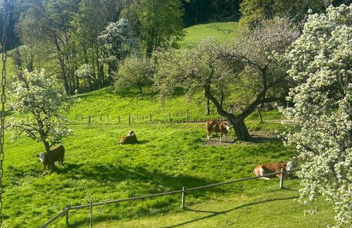 Traumpanorama im Chiemgau zwischen Chiemsee und Salzburg - 74 qm - Photo 11
