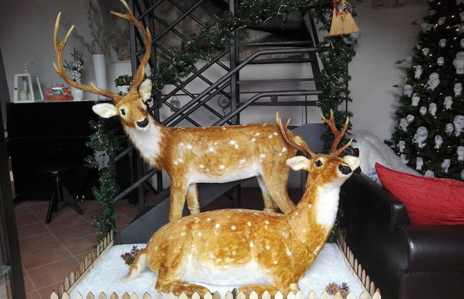 Residenza storica Le Civette - Photo 6