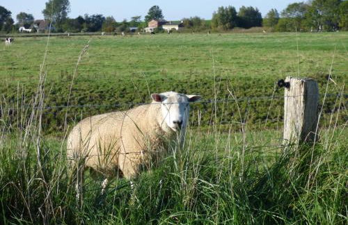 Wasserkoog 22 - Foto 16