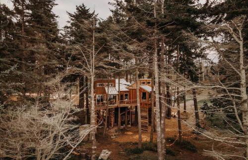 Treehouse on the Water -Eagles Nest-20 ft high - Foto 51