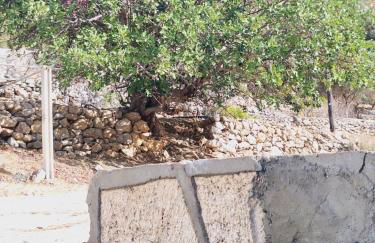 Zoes House - Foto 25