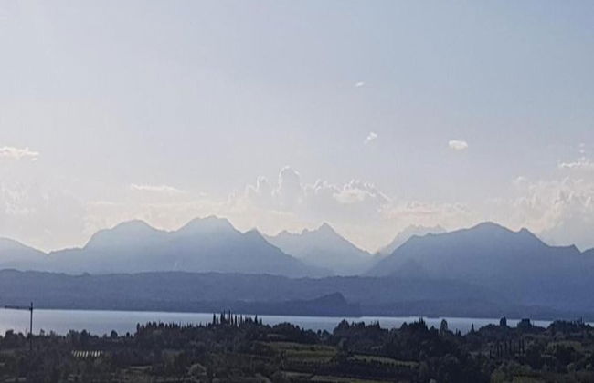 Shimmering Serenity in Pastrengo - Photo 30