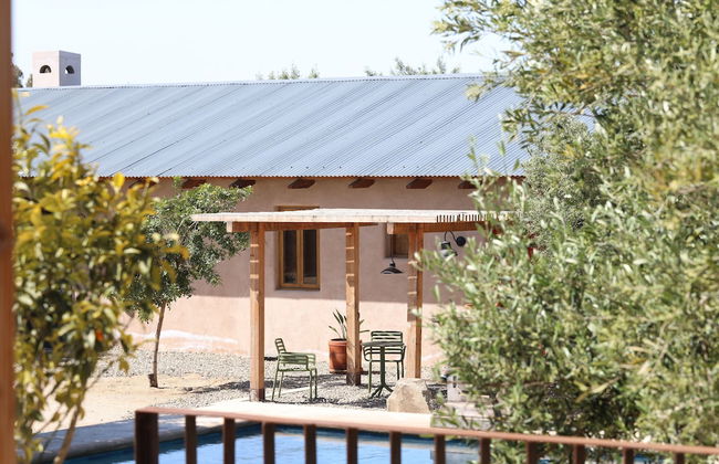 Alma Liebre Viñedos del Valle - Foto 28