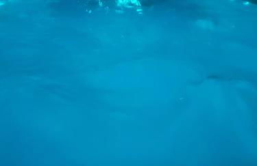 Royal Whirlpool Suites Lüneburger Heide - Foto 35