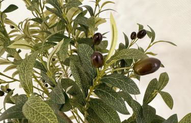 L'écrin des Forges maison cosy 1 à 6 voyageurs - Photo 14