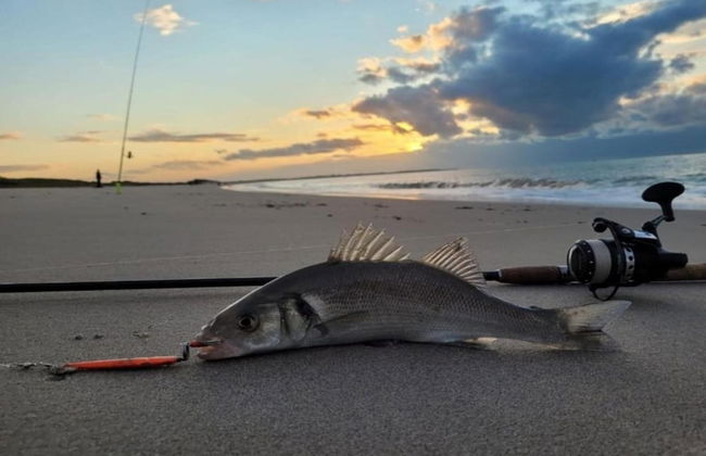 Restyled 2 Bathroom Holidayhome, sea Within Walking Distance - Foto 29