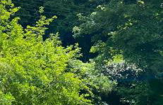 Moulin Grand, entire accommodation, 2br park river - Foto 32