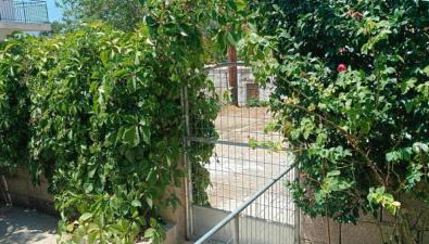 Small Paradise - Foto 4, Garden