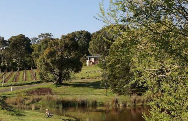 Gisborne Peak Winery Cottages - Foto 35