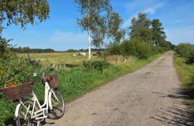Große Landhaus Wohnung 30 Min bis Hamburg - Foto 16
