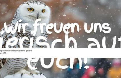 Der grüne Fürst Ferienwohnung Apartment 2 - Foto 33