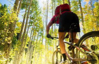 Stagecoach Cabin home - Foto 33