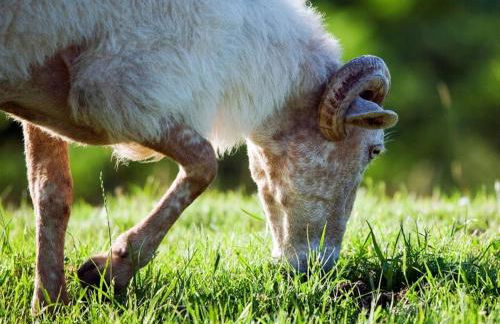 Apartamentos Lusarbe - Foto 30