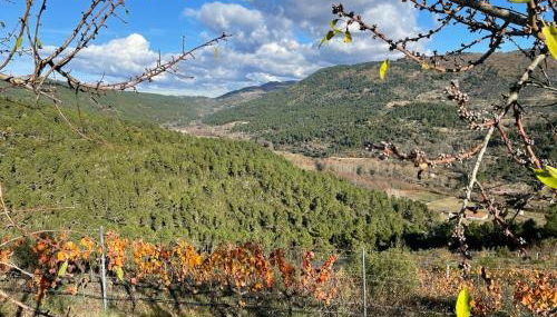 Quinta da Penada - Vineyard & Winery - Suíte 3 - Foto 5