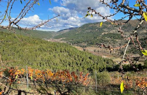 Quinta da Penada - Vineyard & Winery - Suíte 3 - Foto 5