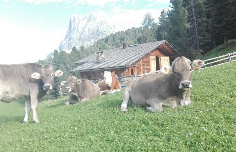 Oberpiskoihof - Photo 57