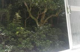 Lar de férias - Photo 25