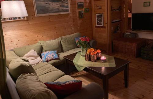 Zielony Domek z jacuzzi - Foto 15