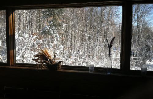Bill's Place In Vermont - Foto 38