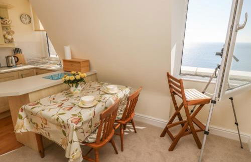 Gannet Watch - Foto 8