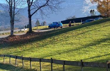 Schneerosenblüte Steibis mit Oberstaufen Plus - Foto 23