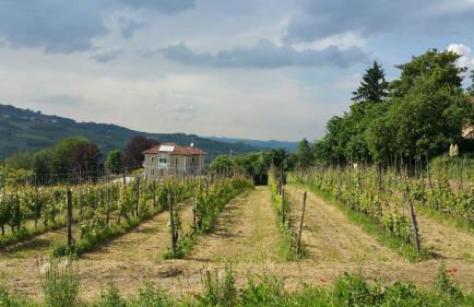 La Casatella Agriturismo - Foto 28