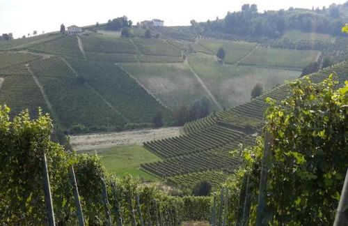 Apartment with large covered terrace, in small residence with swimming pool - Foto 85