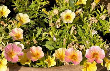 Kate's Place Apartment, 5' walk from the beach - Foto 29