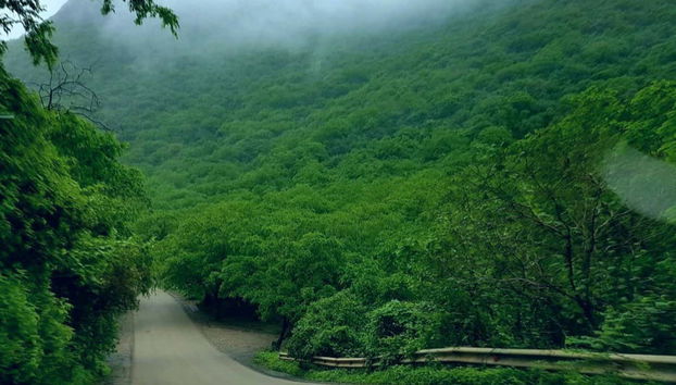 Private Day Trip to Mirbat - Foto 3