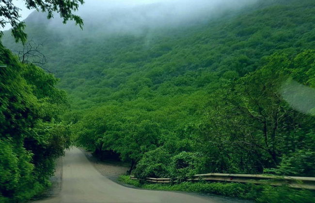 Private Day Trip to Mirbat - Foto 3