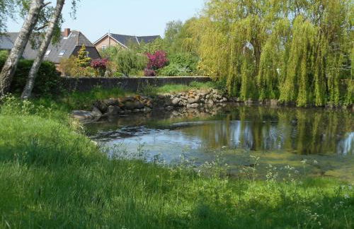 Ferienhof Bisdorf "Steilküste" - Foto 1