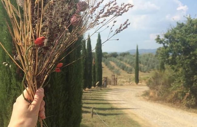 Podere Campovecchio - Foto 32